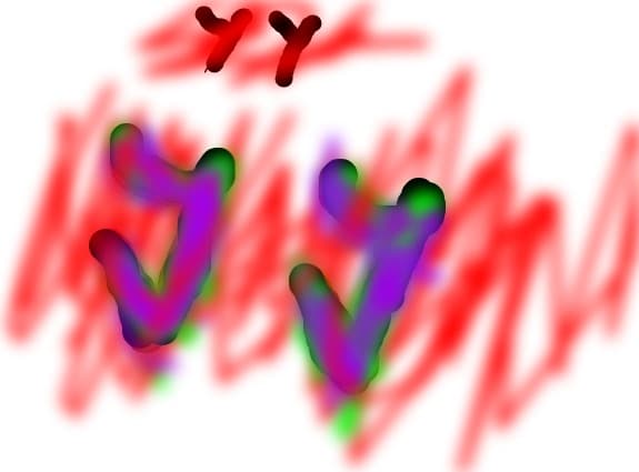 yy