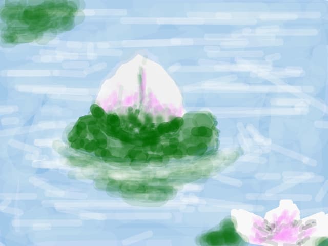 Un lac de nuferi,pt toti desenatorii
