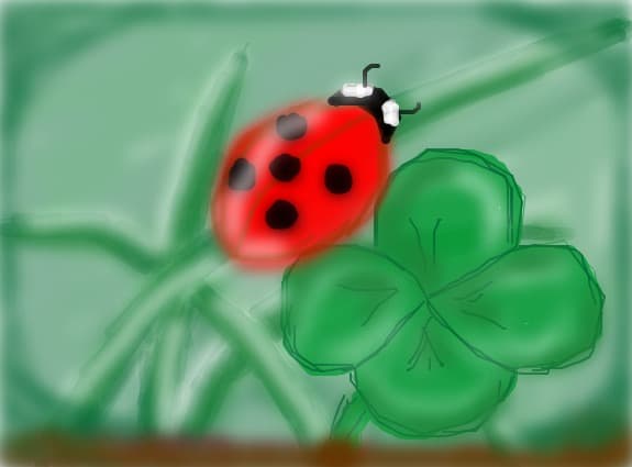 Lucky Lady Bird