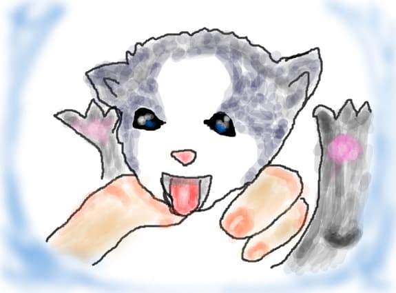 lasama jos !!!!!miauuuu