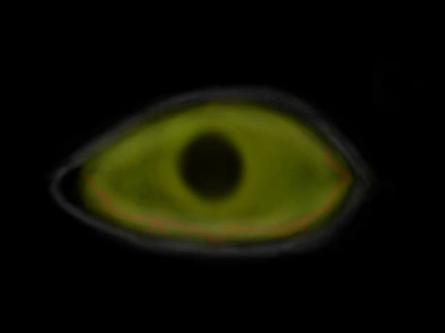 cat eye
