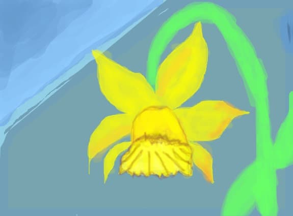 Beautiful flower!