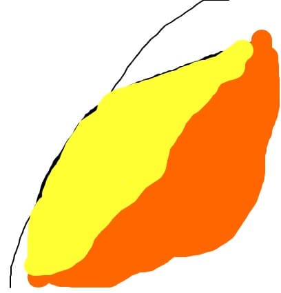 frunza toamnei