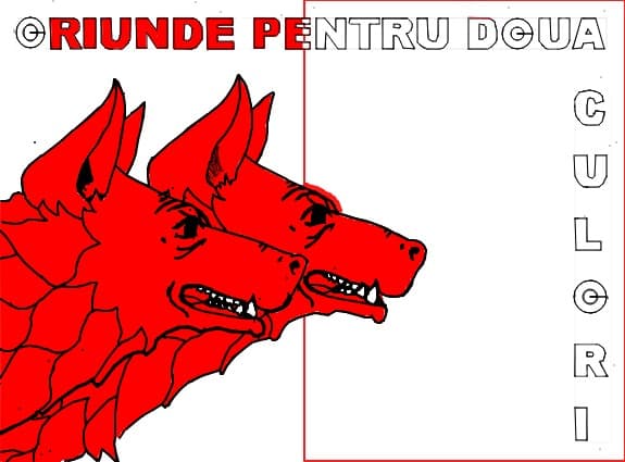 ORIUNDE PENTRU 2 CULORI FORTZA DINAMO!!!