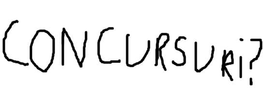 cine are concurs?