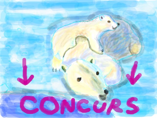 the bears concurs!!!!!