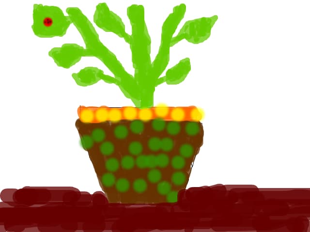 planta