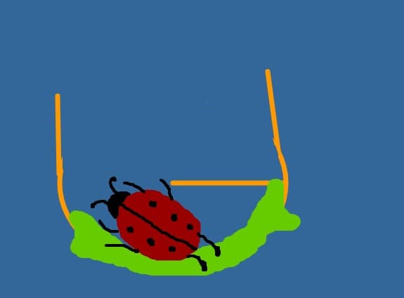 vis de gargarita
