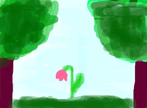 o floare