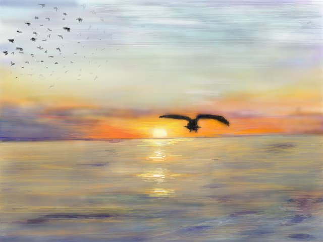 sunset