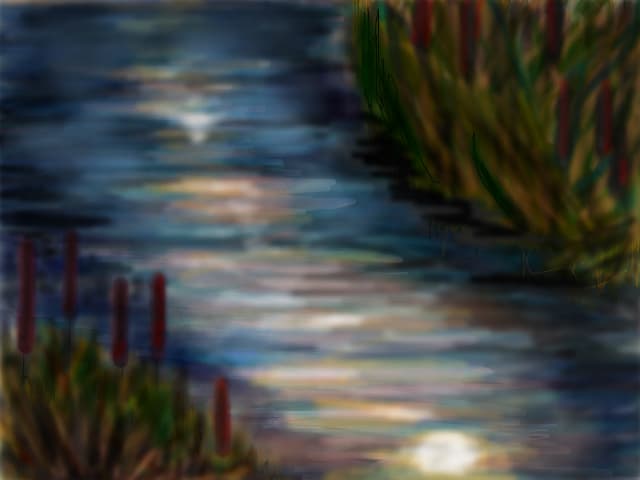 The Moon