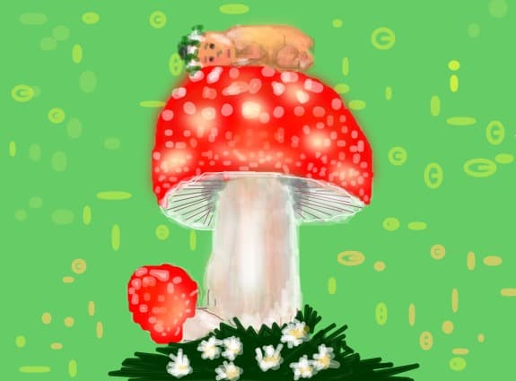 felicitare