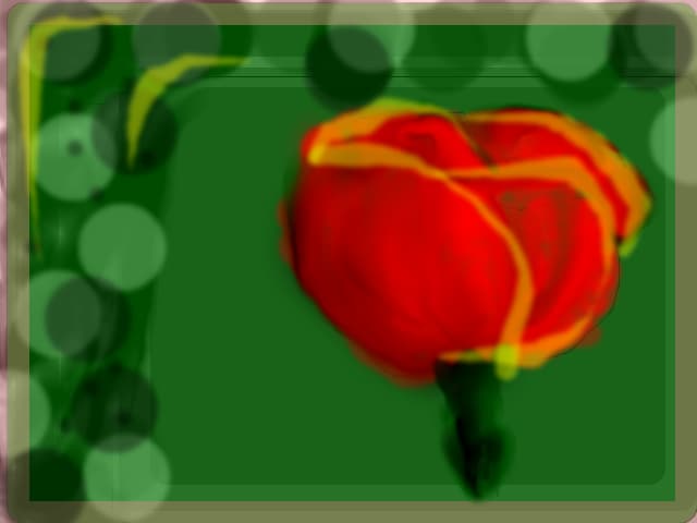 a rose