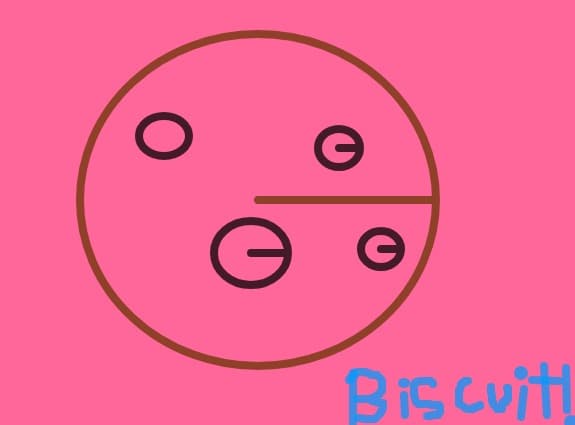 biscuit