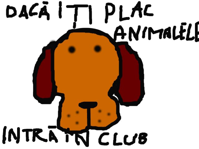 Clubul Iubitorilor de Animale te invita sa desenezi cu noi multe animale