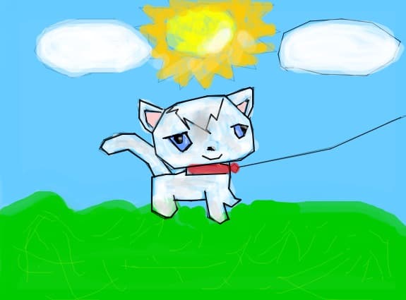 kitty la plimbare