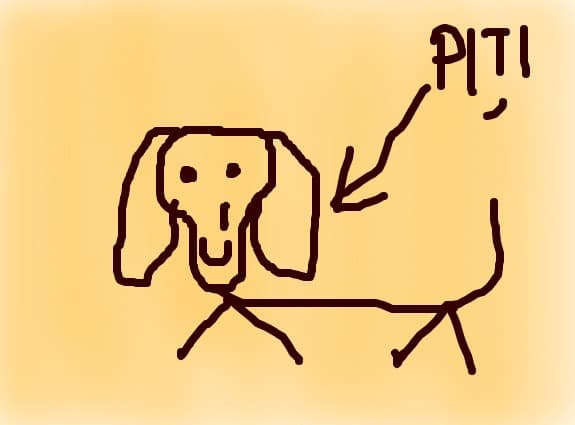 PITZI