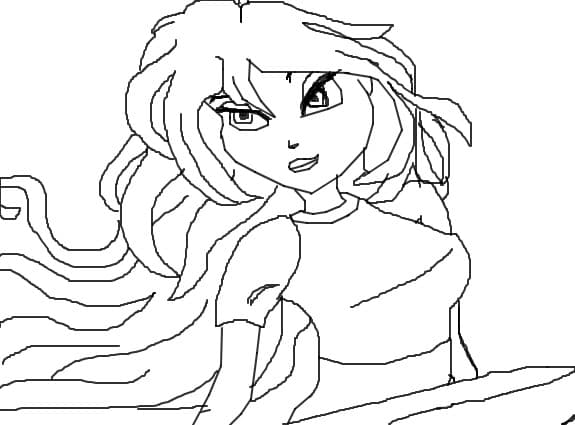 schita