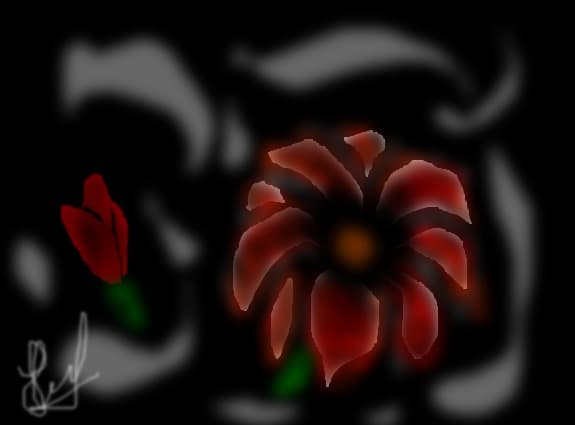 floare vs boboc
