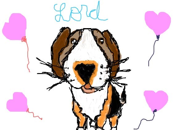 am incercat sa desenez un catel mai frumos decat ceilalti pe care iam facut