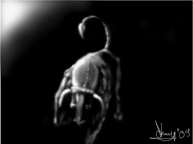viorel