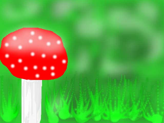 ciuperca