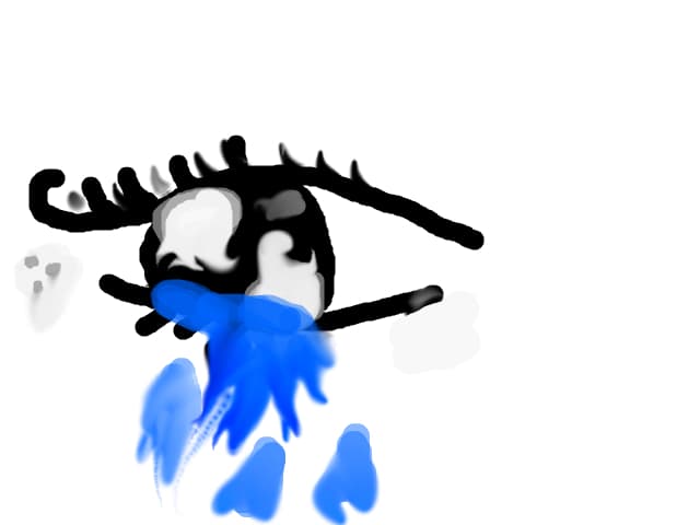 ochisor