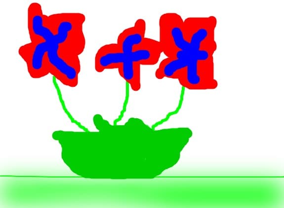 flori