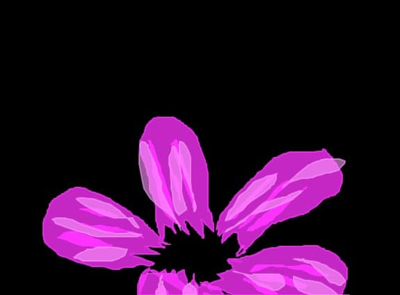 o floare