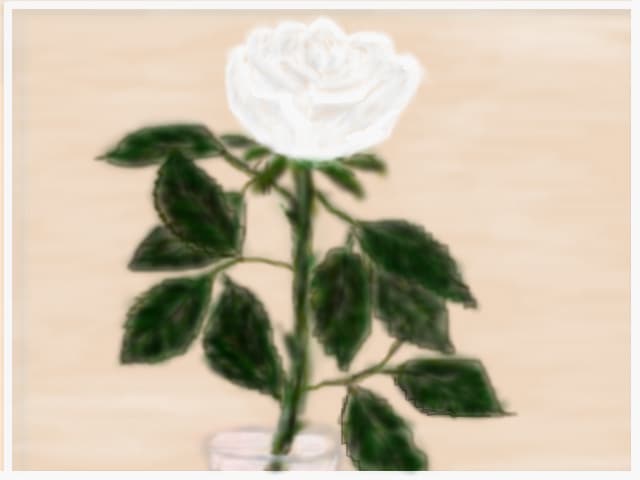 white rose