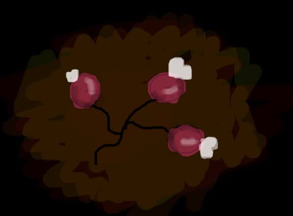 floare