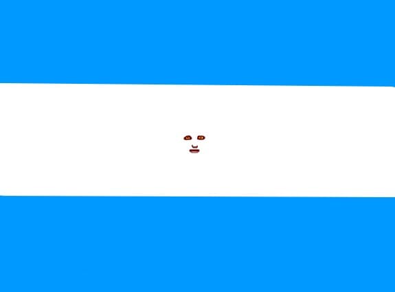 Argentina flag
