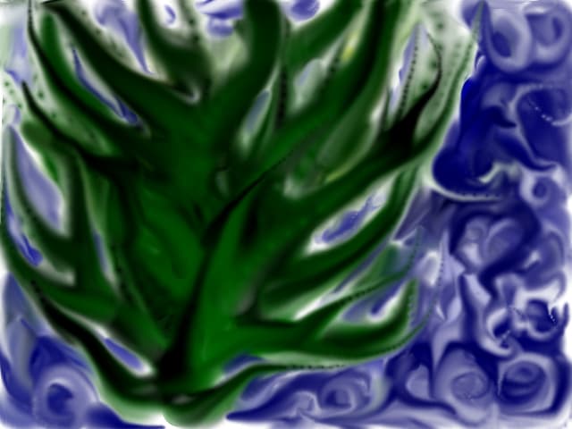 Alga de mare