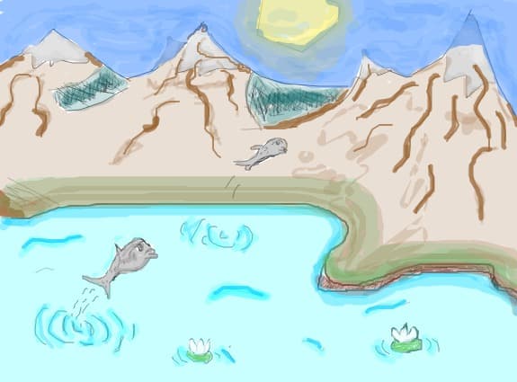 fishes