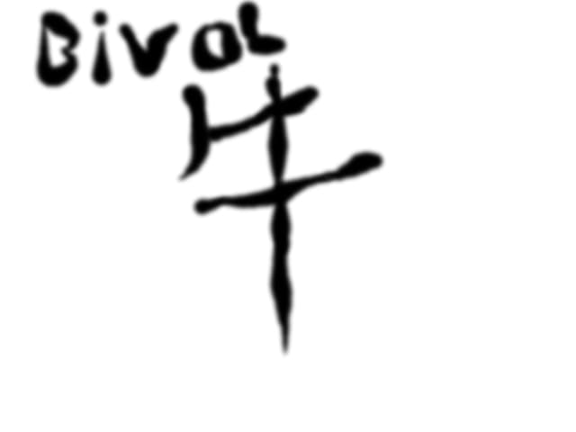 bivol in chineza