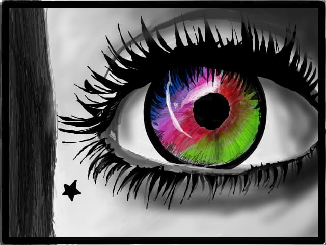 eye