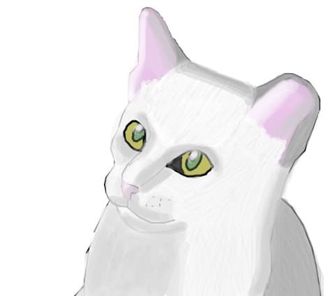 White Cat