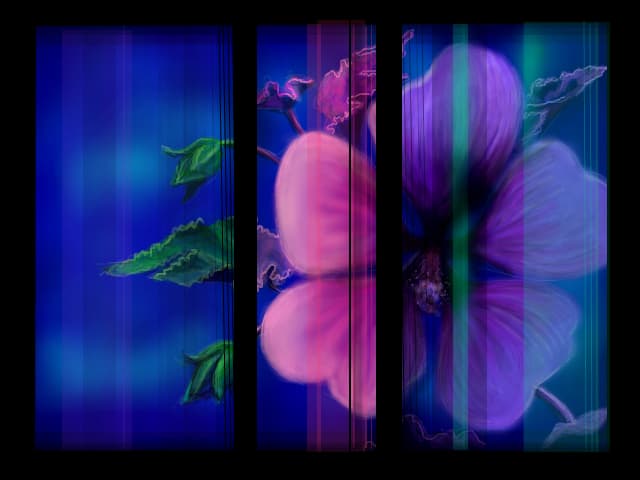 HIBISCUS