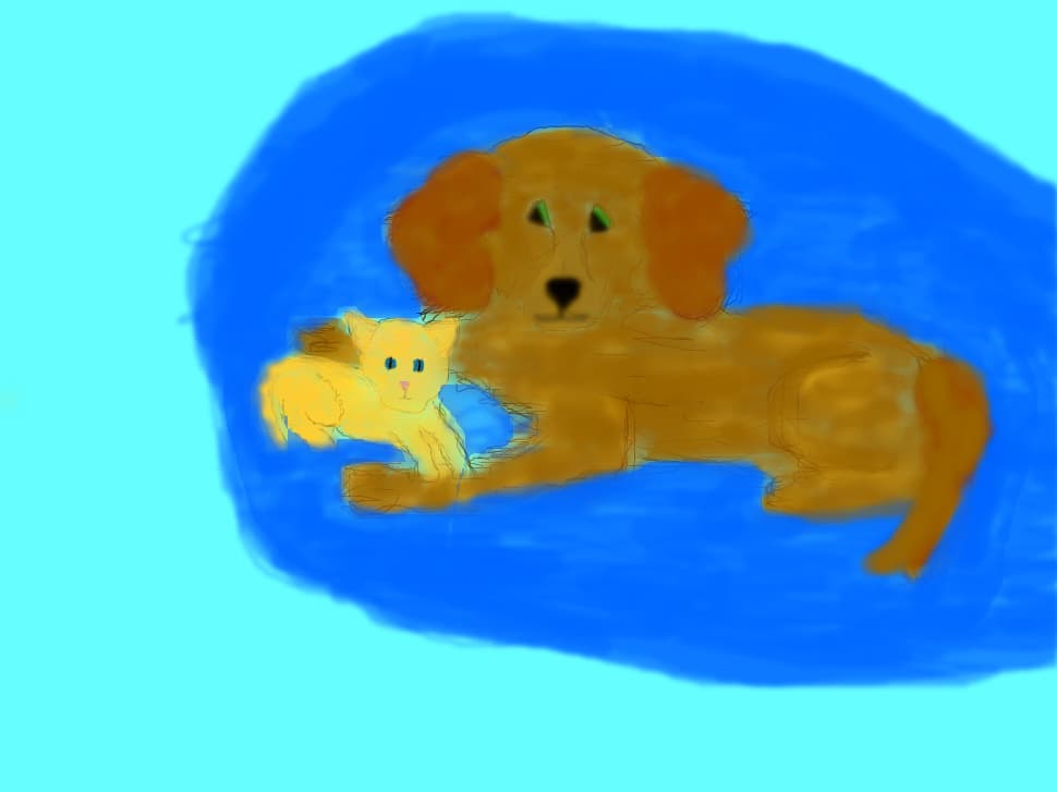 Caine &amp; Pisica :)) Nu stiu.. Mai trebuie retusat.. Dar :(