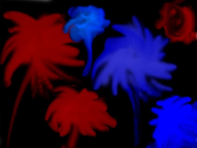 flori