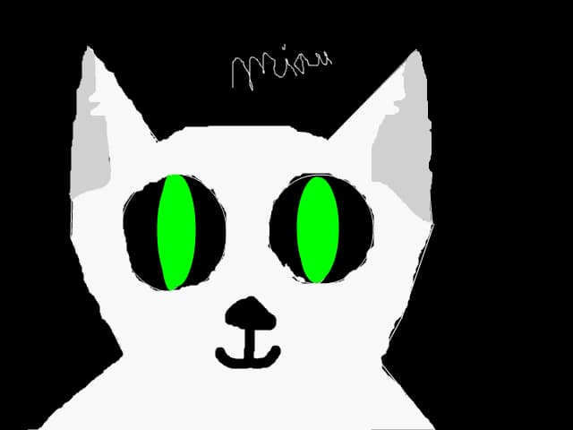 miau