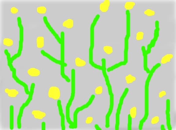 flori