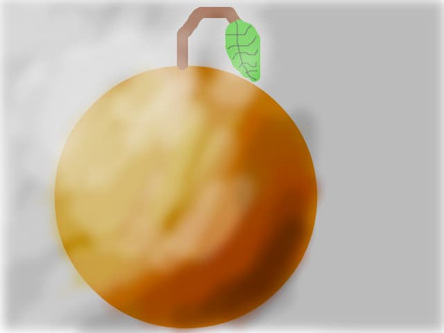 portocala