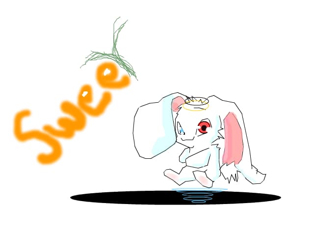 Bunny