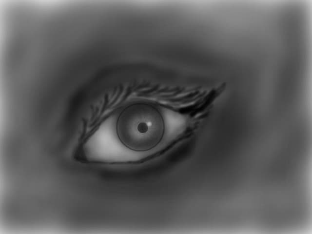 the eye