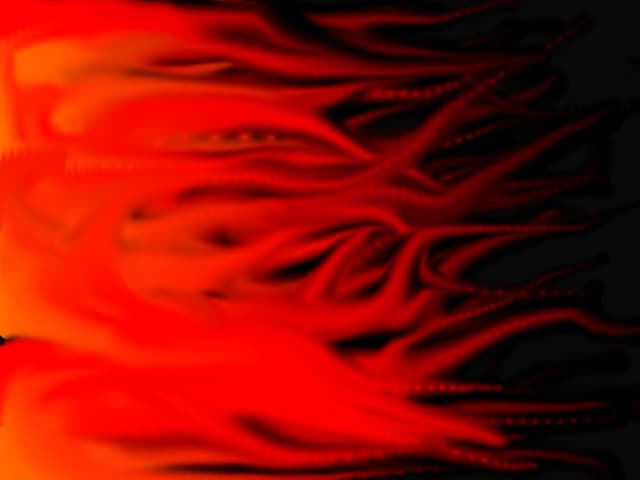 foc