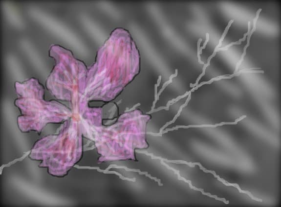 Angel flower