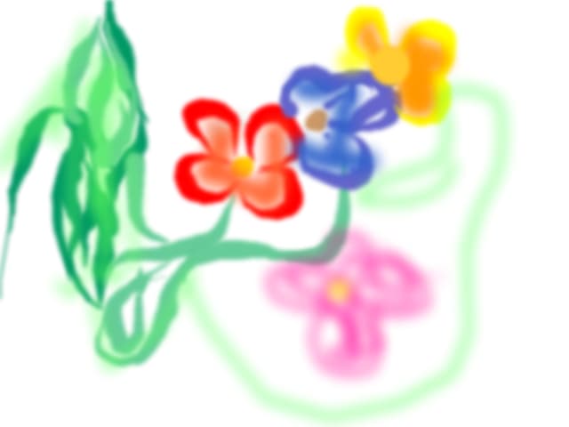 flori