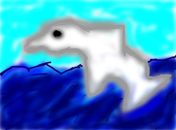 White Dolphin