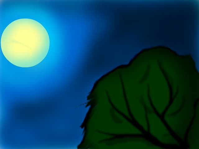 tree in the night